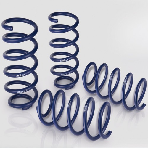 Lowering springs for - lowering,