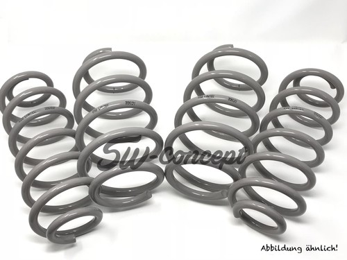 Lowtec lowering springs 30/30