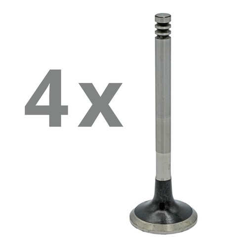 Exhaust valve for - exhaust,