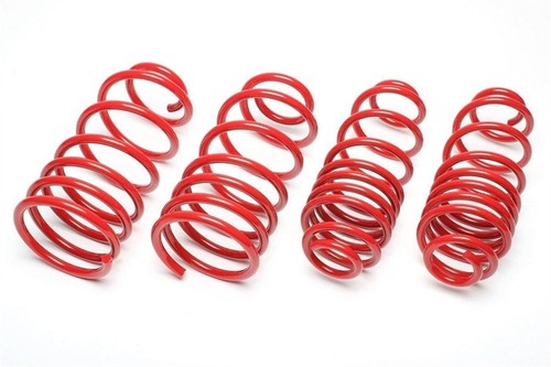 Technix lowering springs - ta,